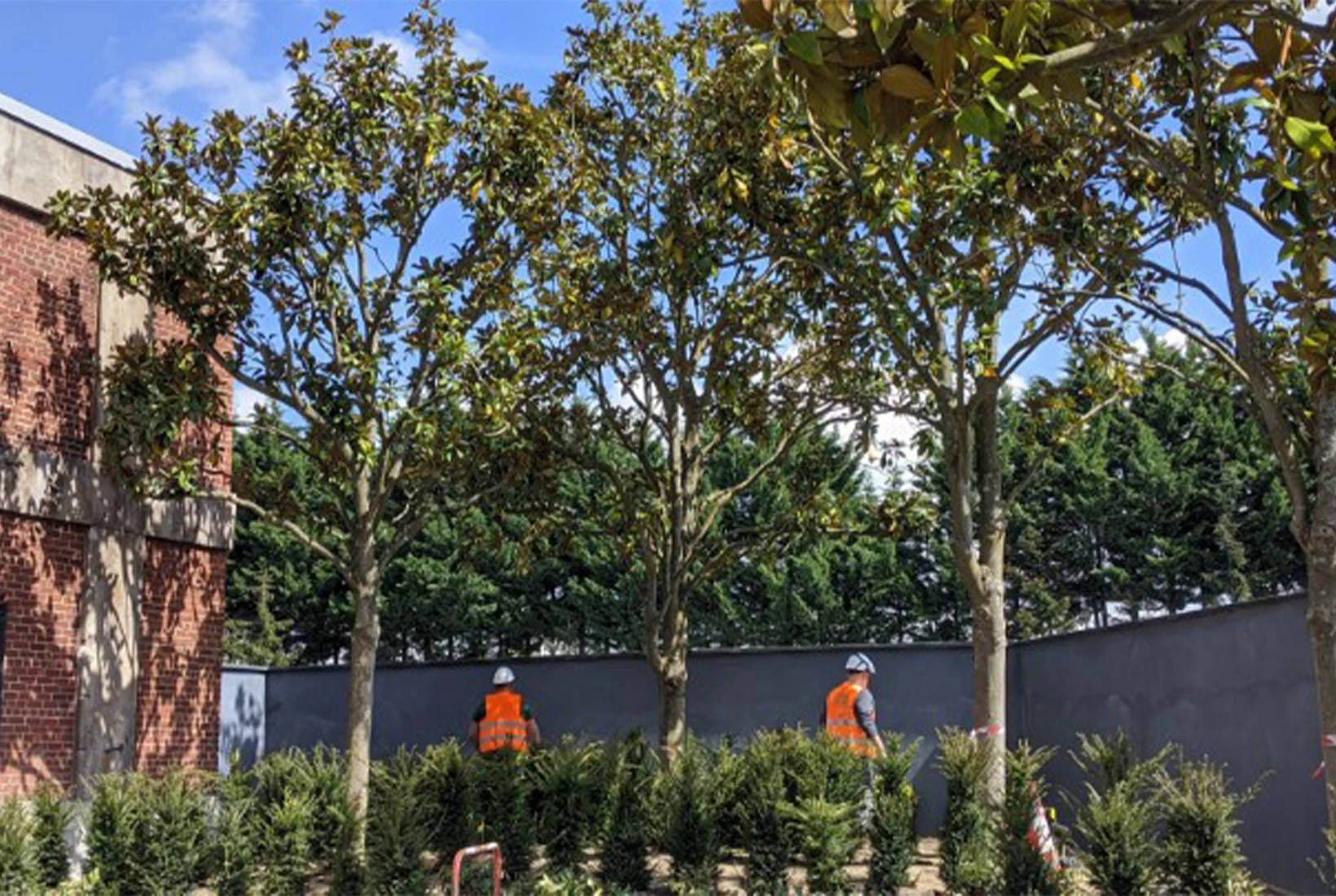 Le plan vert de l’Avengers Campus